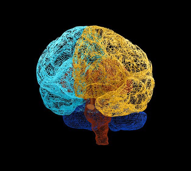 Can TMS Help with OCD Symptoms? Here’s What We Know