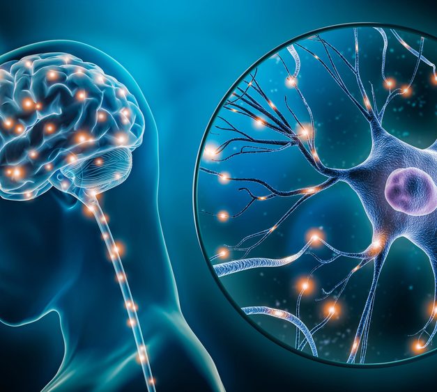 How Neurotherapy Supports Emotional Regulation in Daily Life